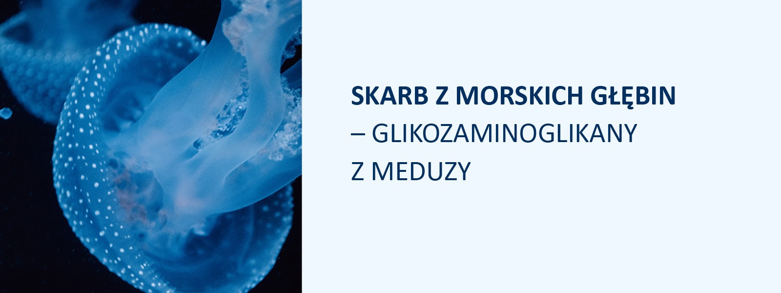 skarb z morskich głębin